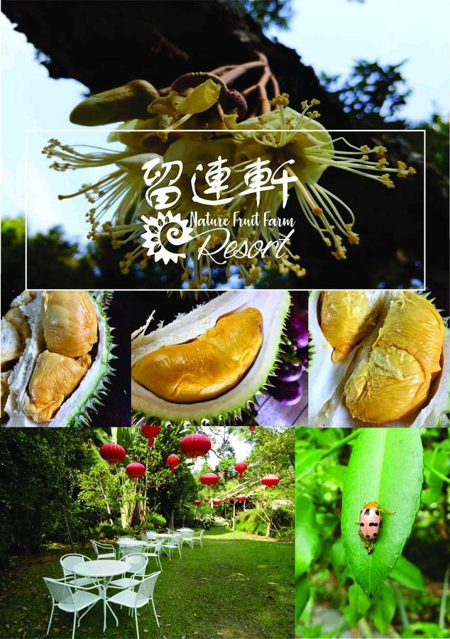Nature Fruit Farm - Private Estate Guest house 3*